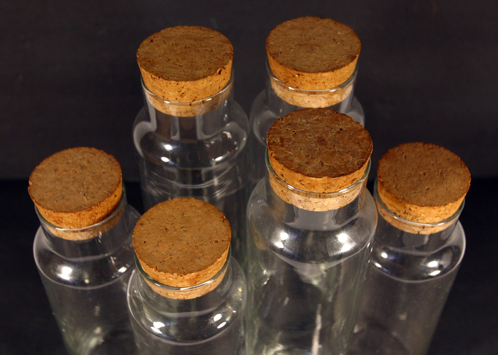 Six Glass Apothecary Jars