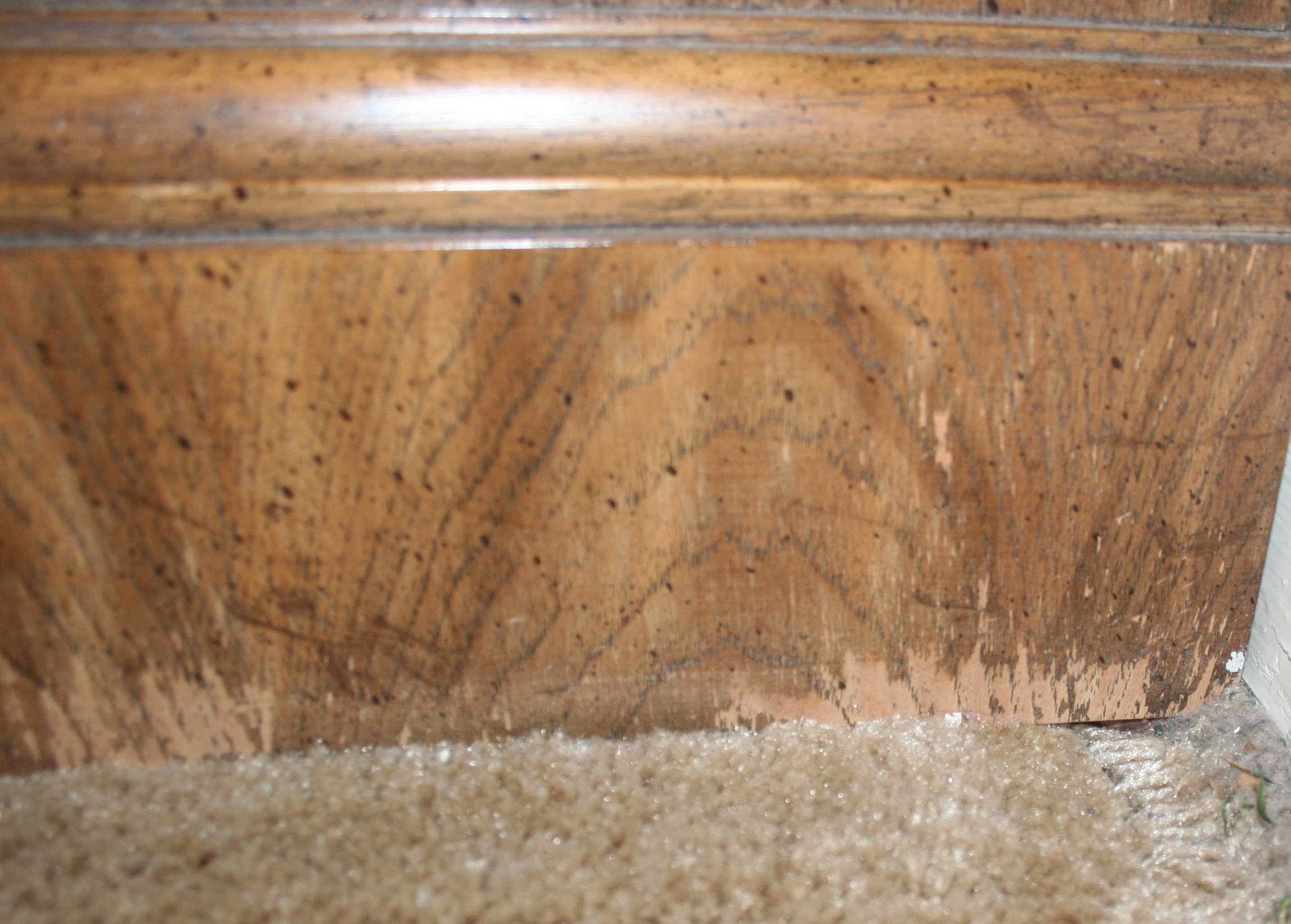 Lighted Display Cabinet