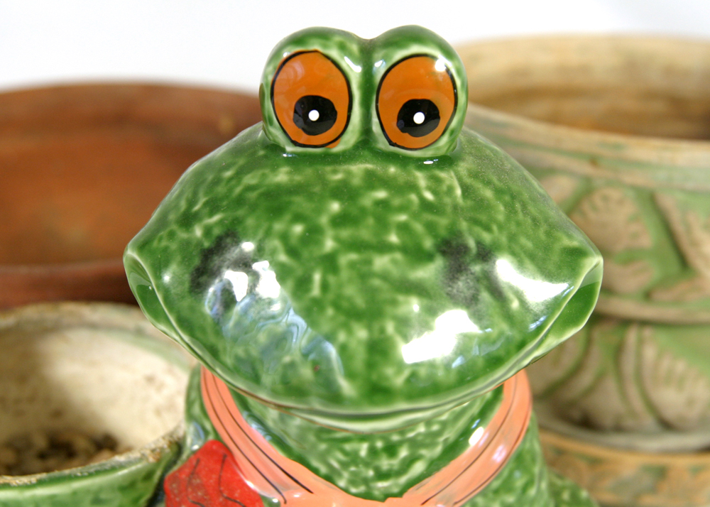 Decorative Ceramic Planters