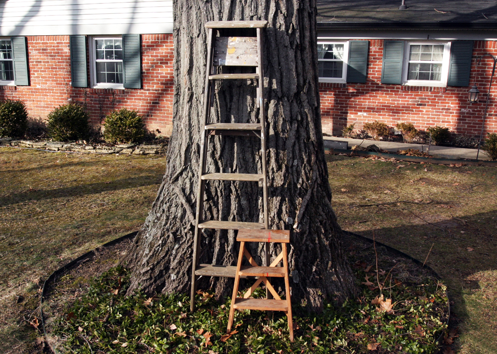 Wooden Ladder and Step Stool