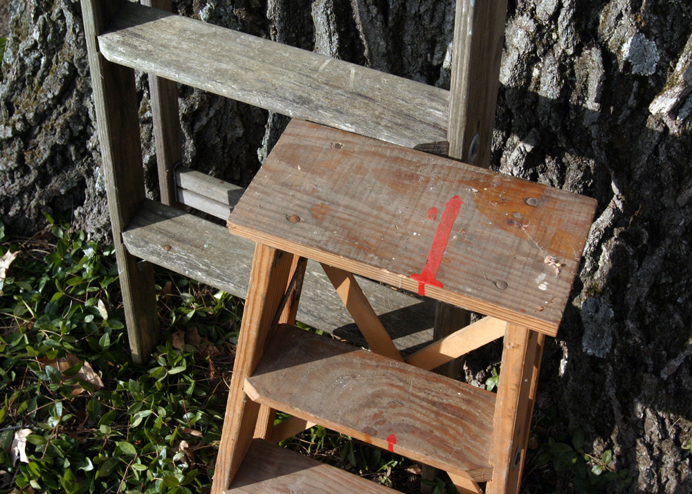Wooden Ladder and Step Stool