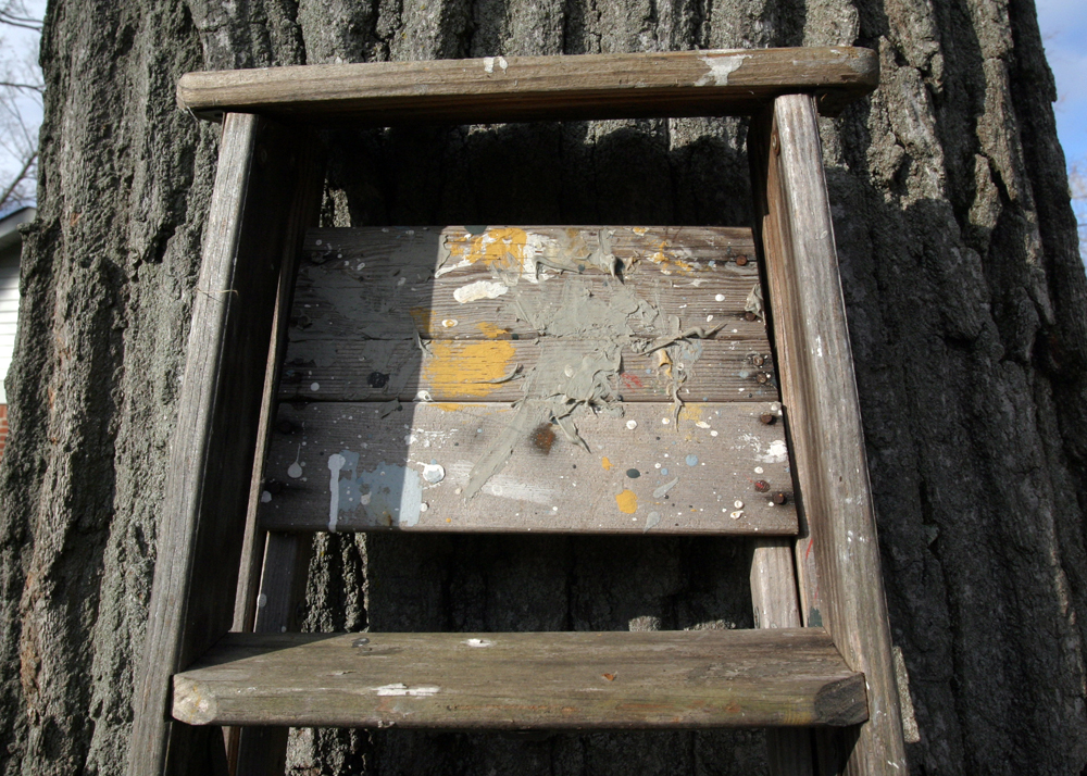 Wooden Ladder and Step Stool