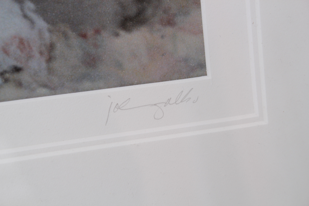 Michael John Coleman Signed Impressionist Style Photograph