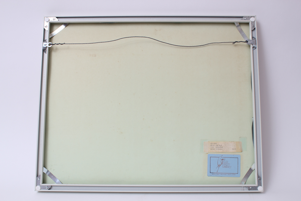 Michael John Coleman Signed Impressionist Style Photograph