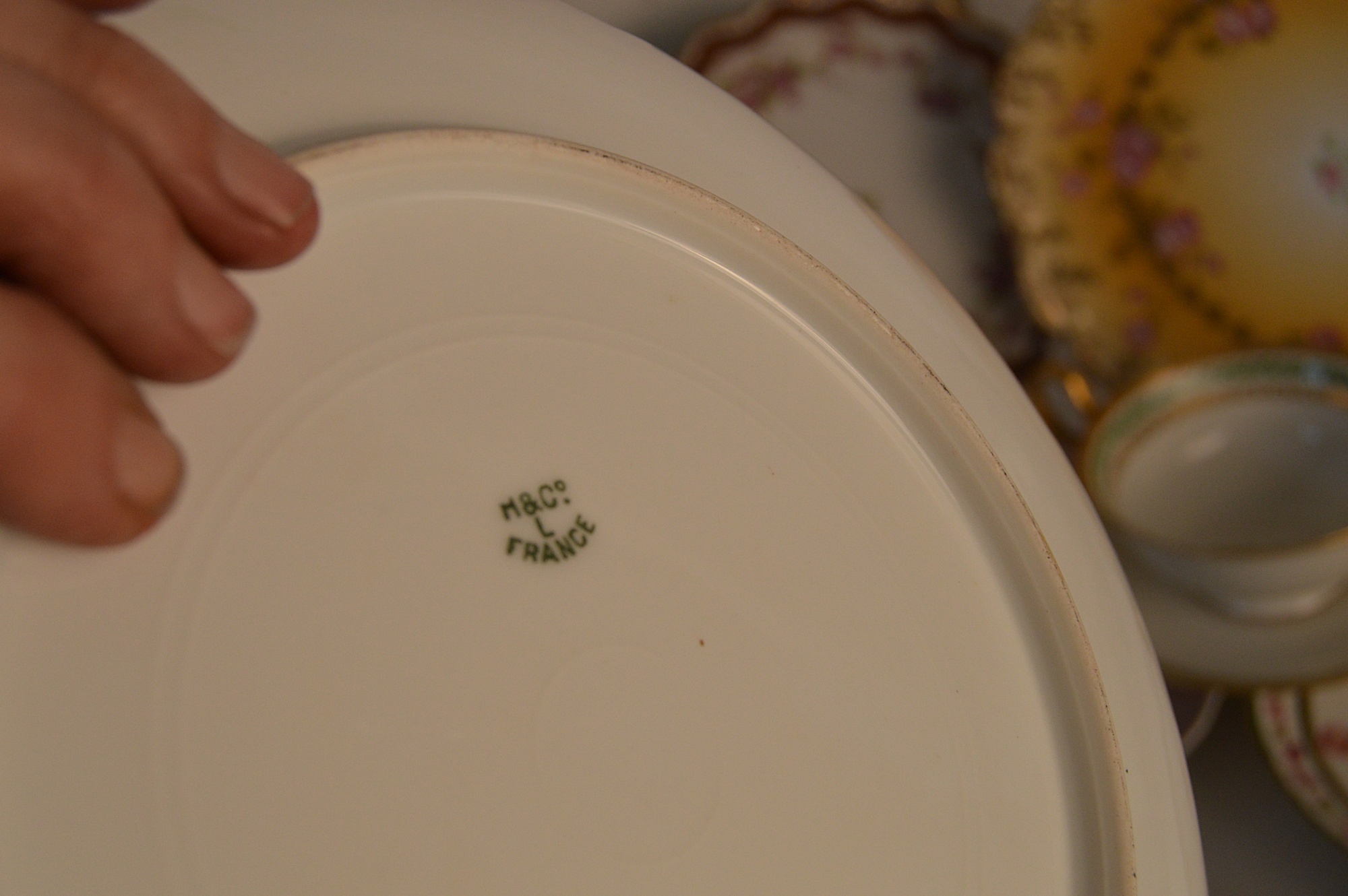 Set of Vintage French Limoges China Dinnerware