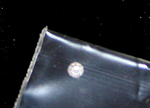 14K White Gold Eternity Band