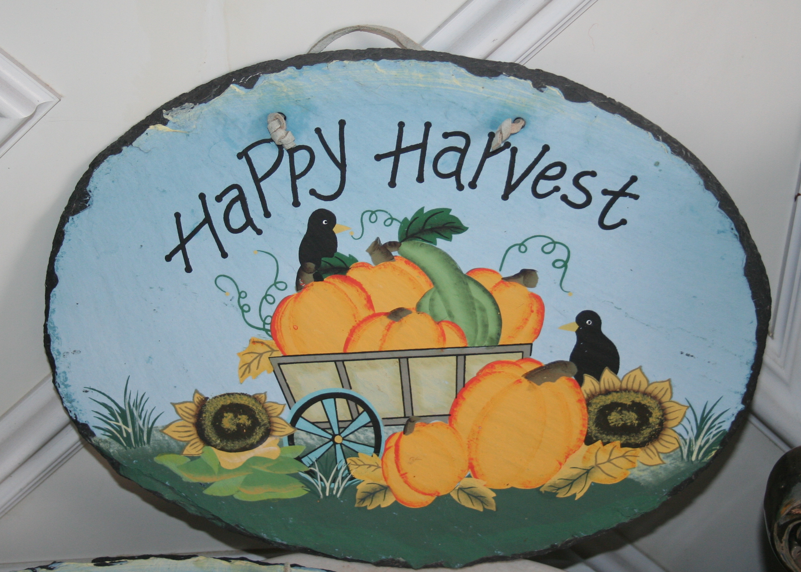 Collection of Planters