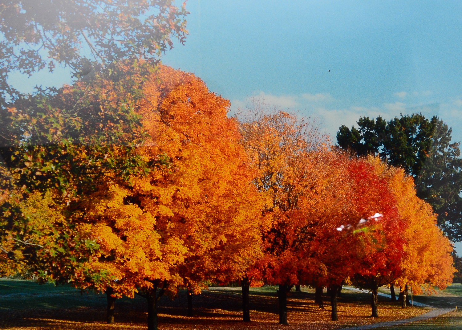 Pair of Old Hickory Country Club Photographs