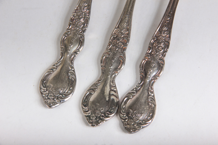 Mytton Rodd Silver Plate Flatware