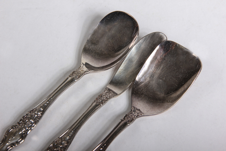Mytton Rodd Silver Plate Flatware