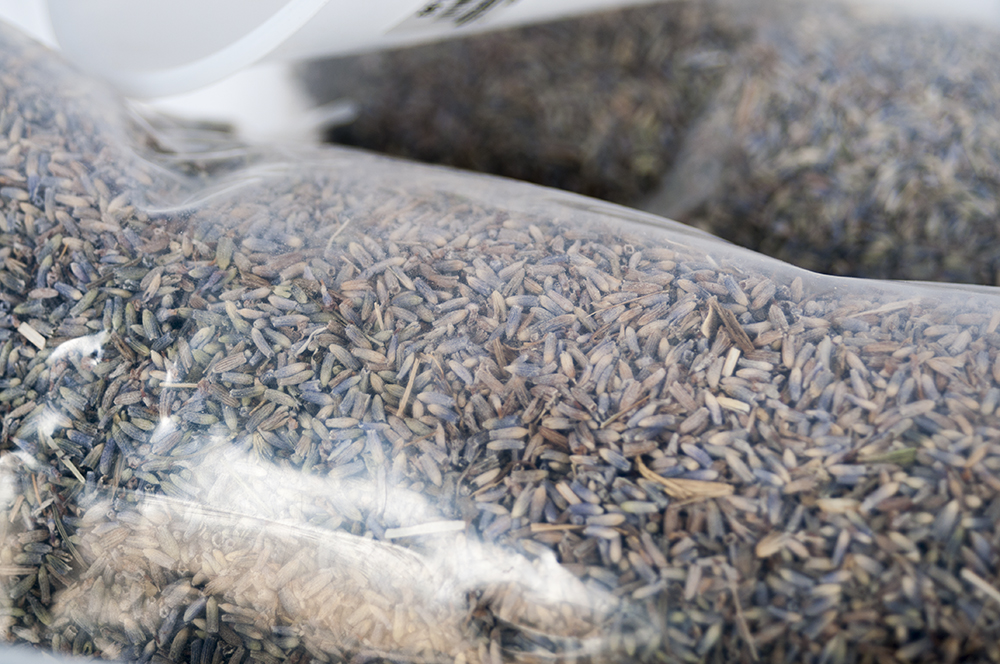 Dried Aromatic Lavender