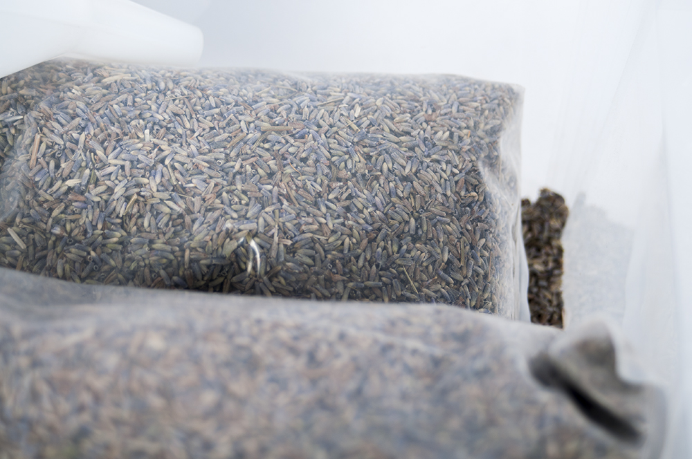 Dried Aromatic Lavender