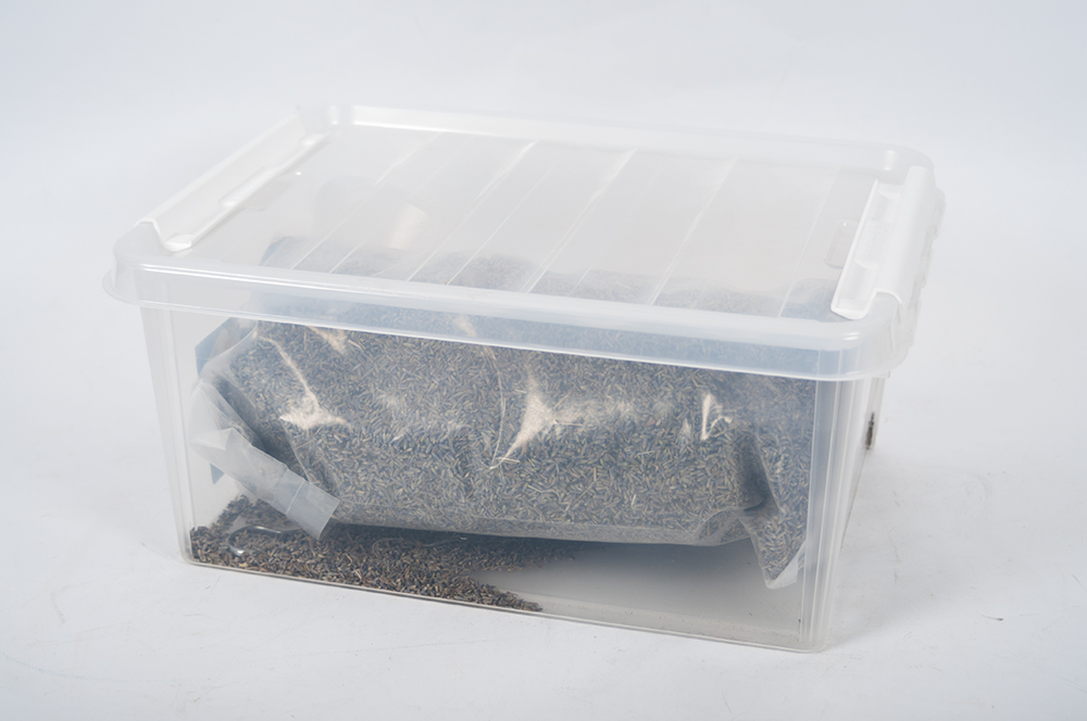 Dried Aromatic Lavender