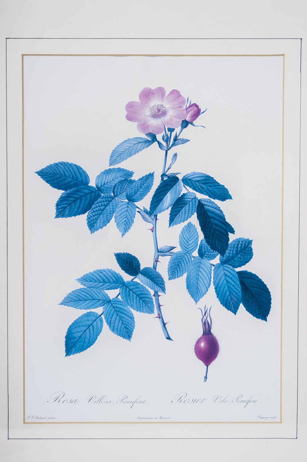 Large Ceramic Serving Platter