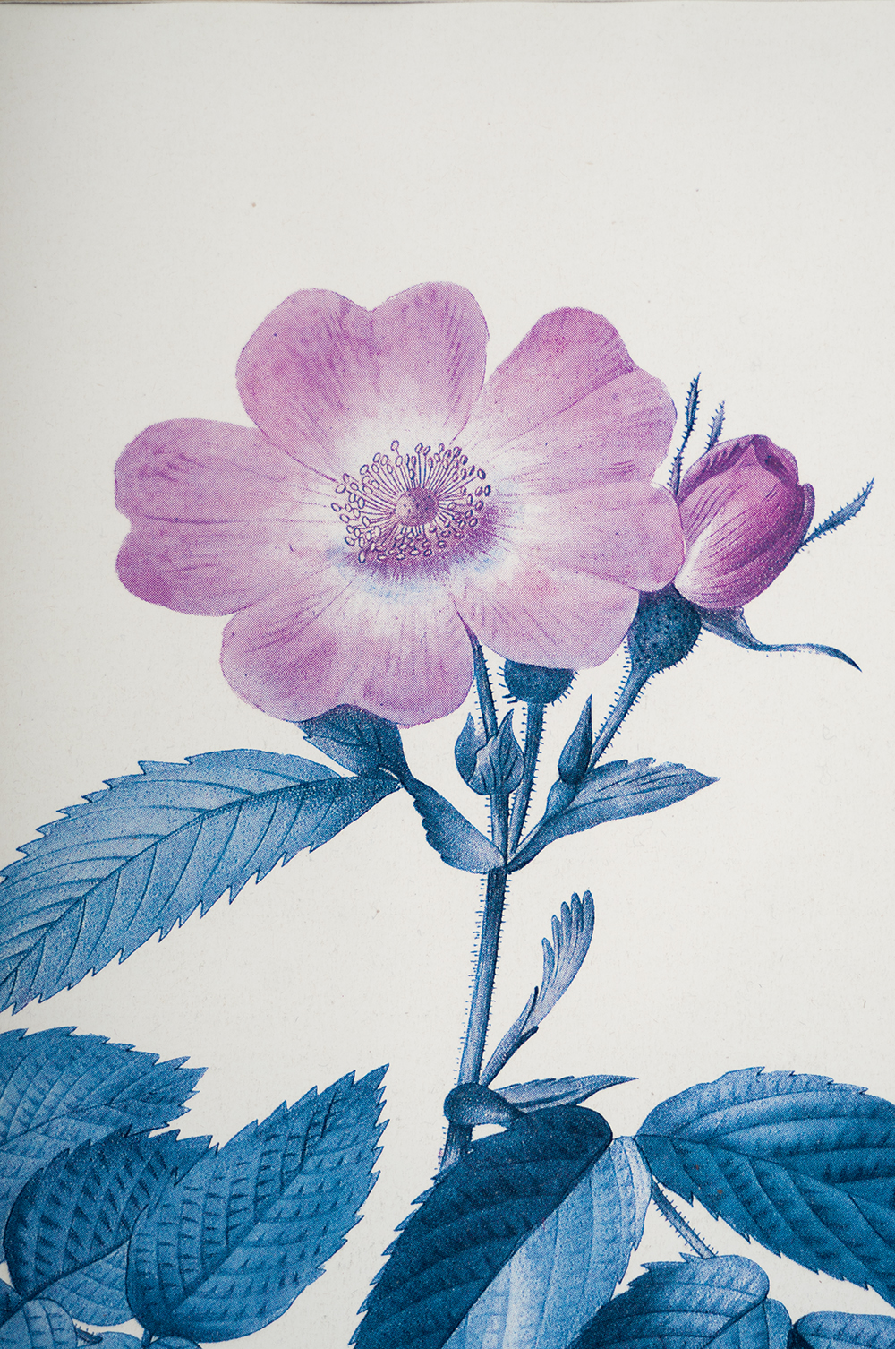 Large Ceramic Serving Platter