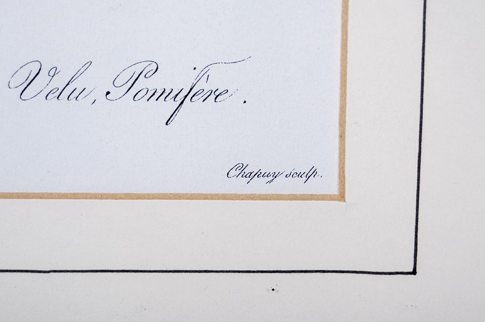 Large Ceramic Serving Platter