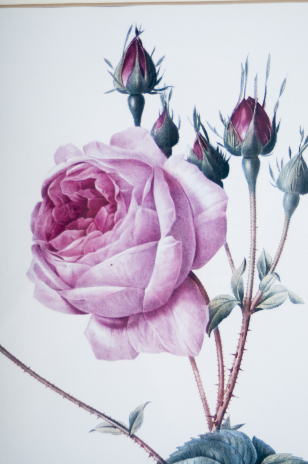 Large Ceramic Serving Platter