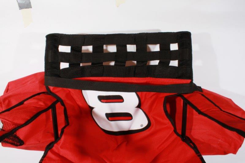 NASCAR 8 Dale Earnhardt Jr. Budweiser Camp Chair