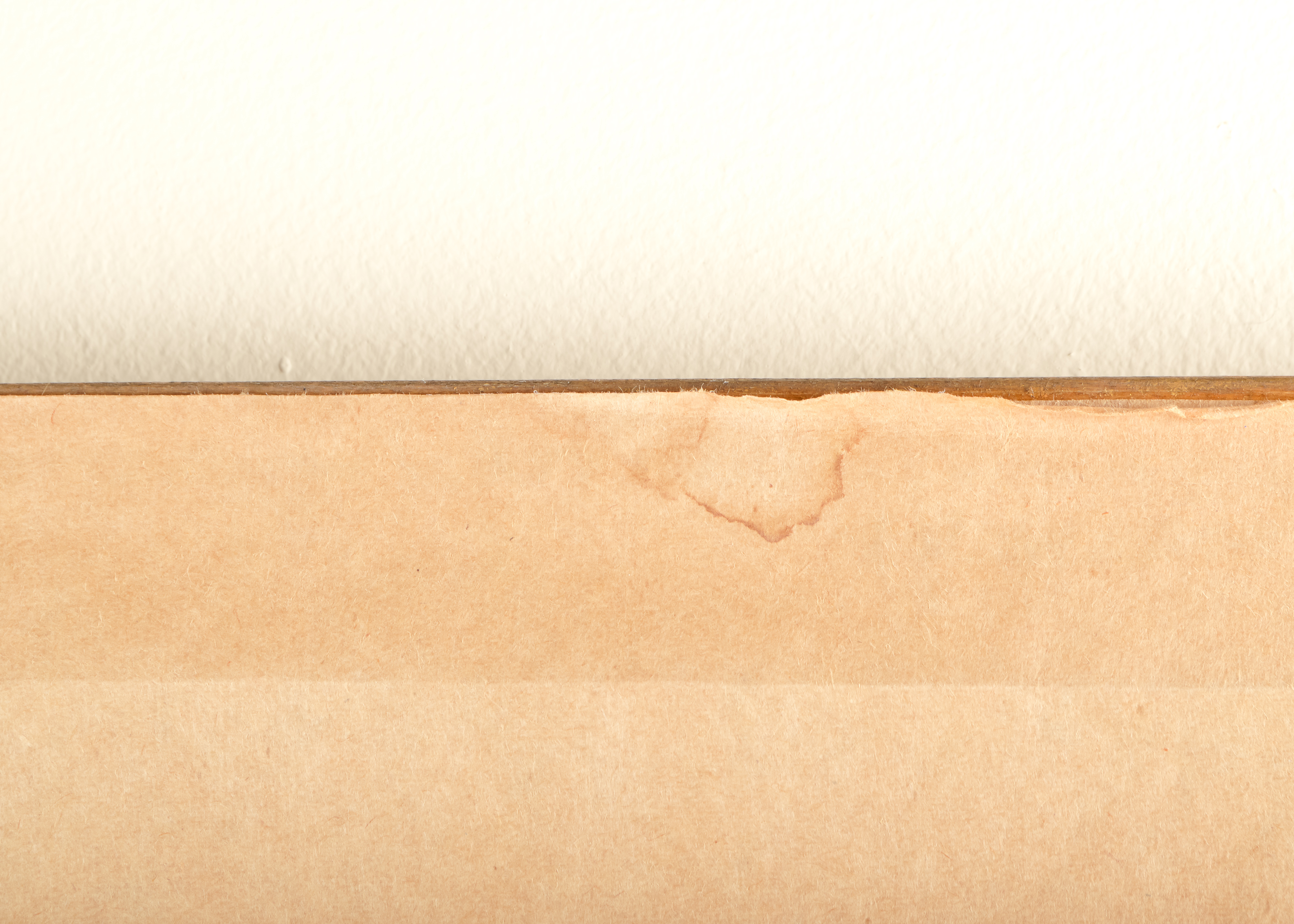 Claude Monet "Summer" 1874 Offset Lithograph