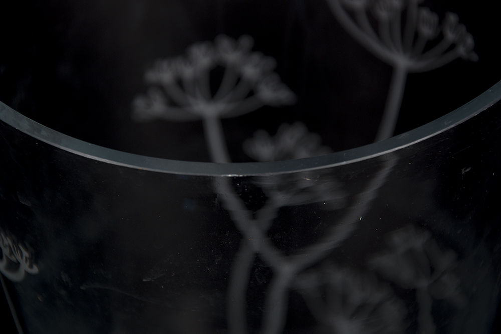 Collection of Etched Glass PIeces