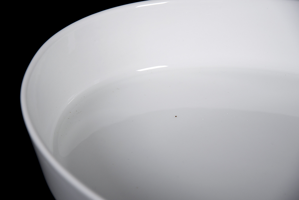 Fillivuyt Oval Baking Dish and Pineapple Trivet