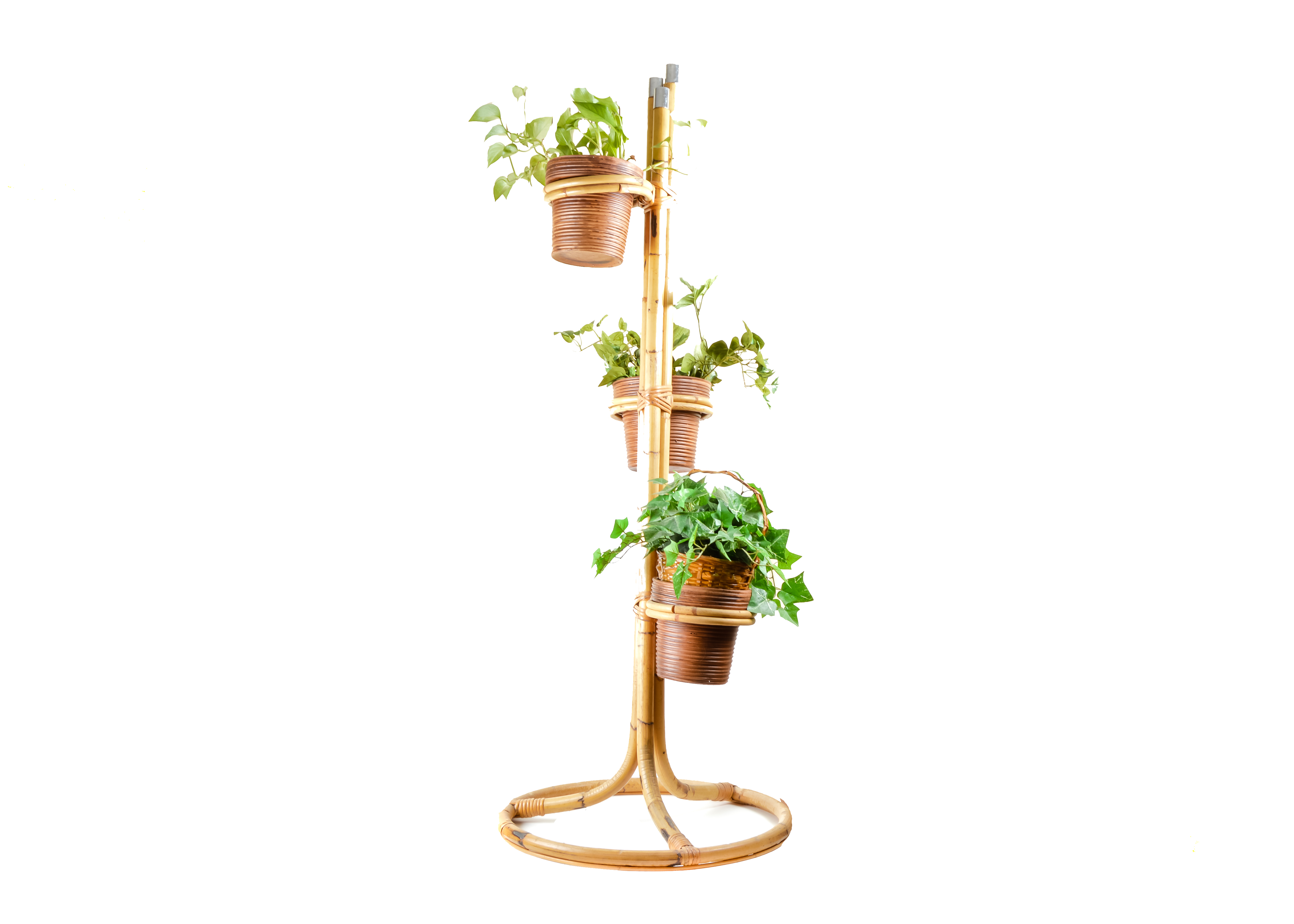 Bamboo Three-Plant Stand