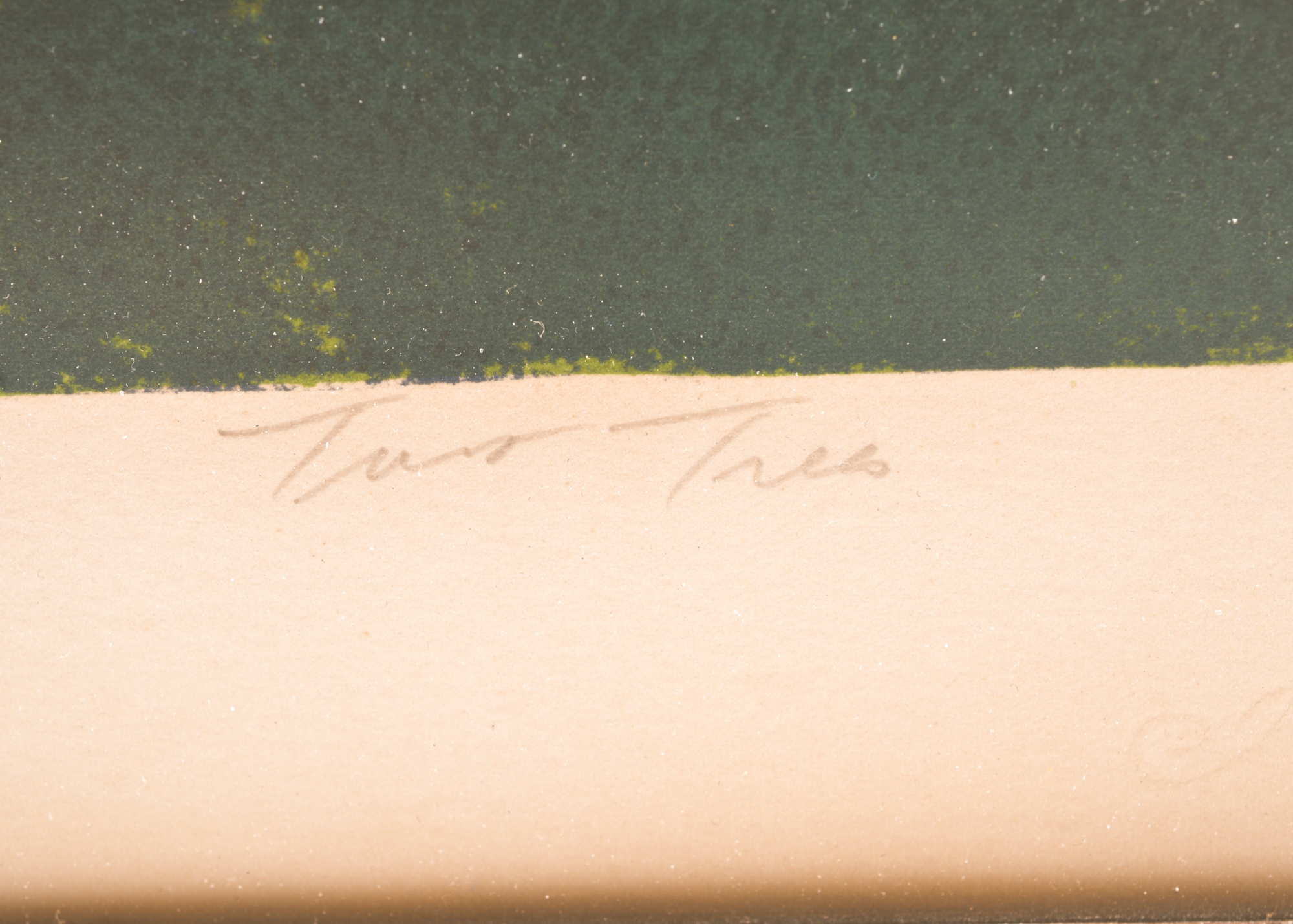 Signed Artist Proof Lithograph "Two Trees" by Harold Altman