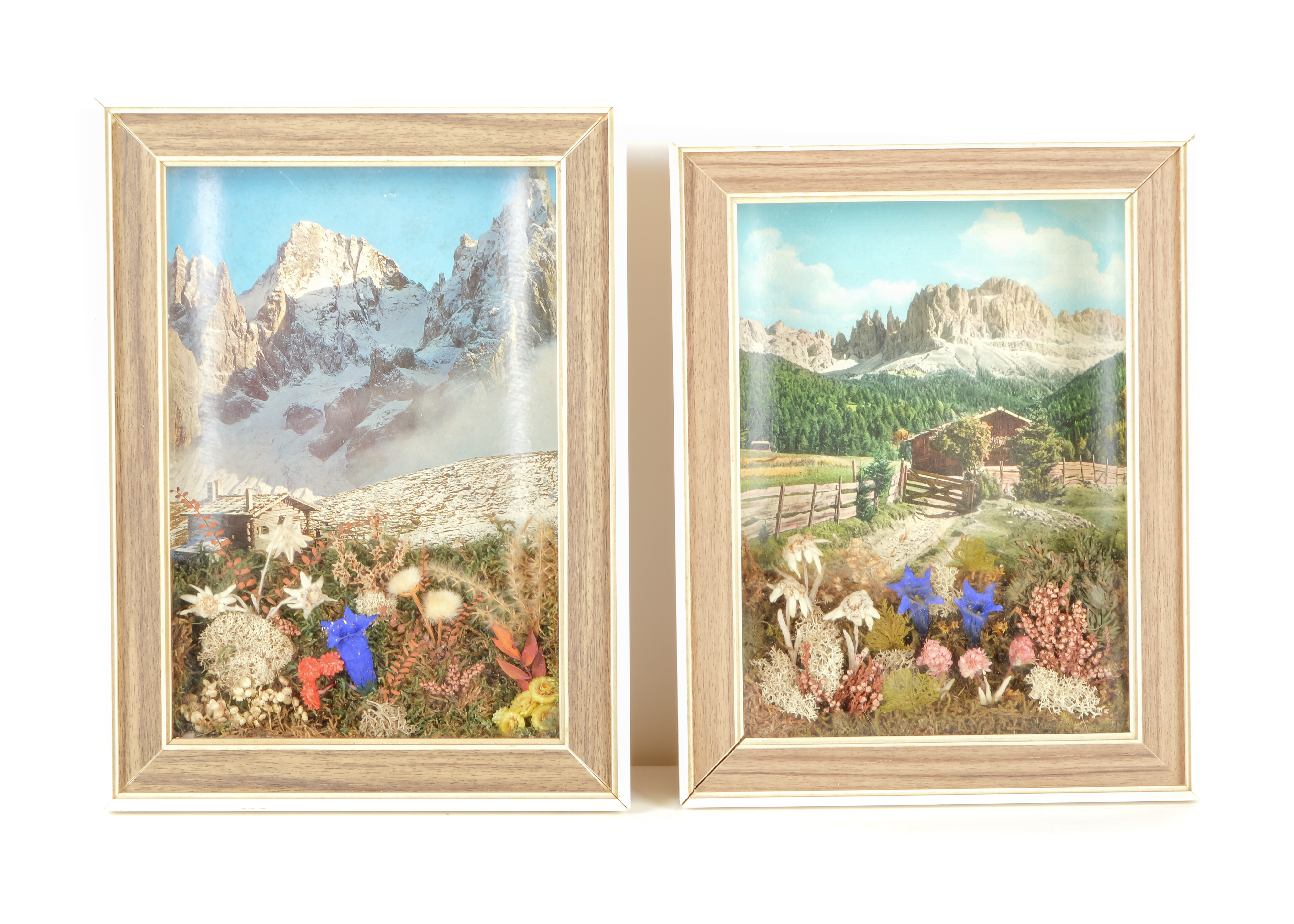 Collection of Retro Nature-Themed Accents