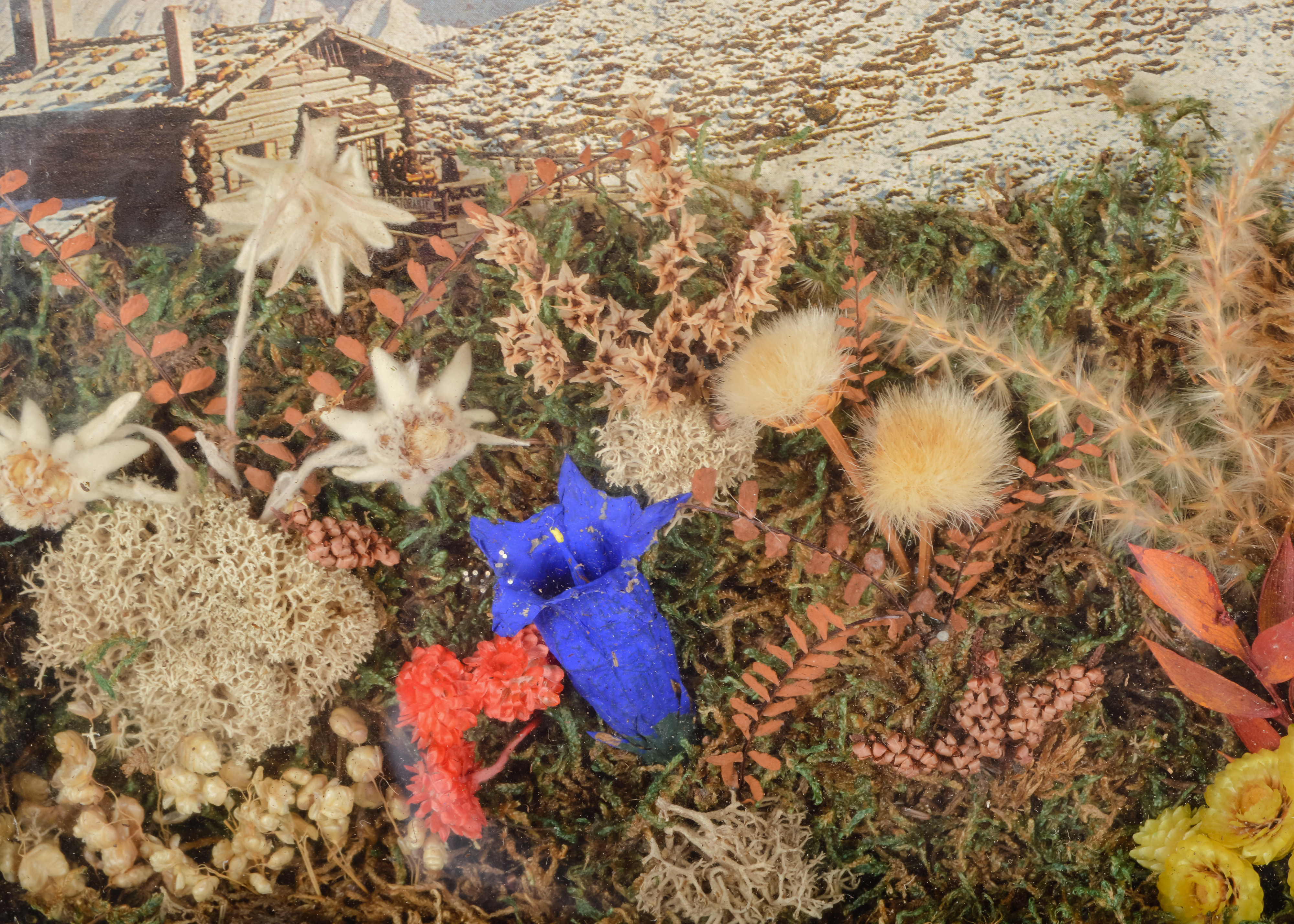 Collection of Retro Nature-Themed Accents