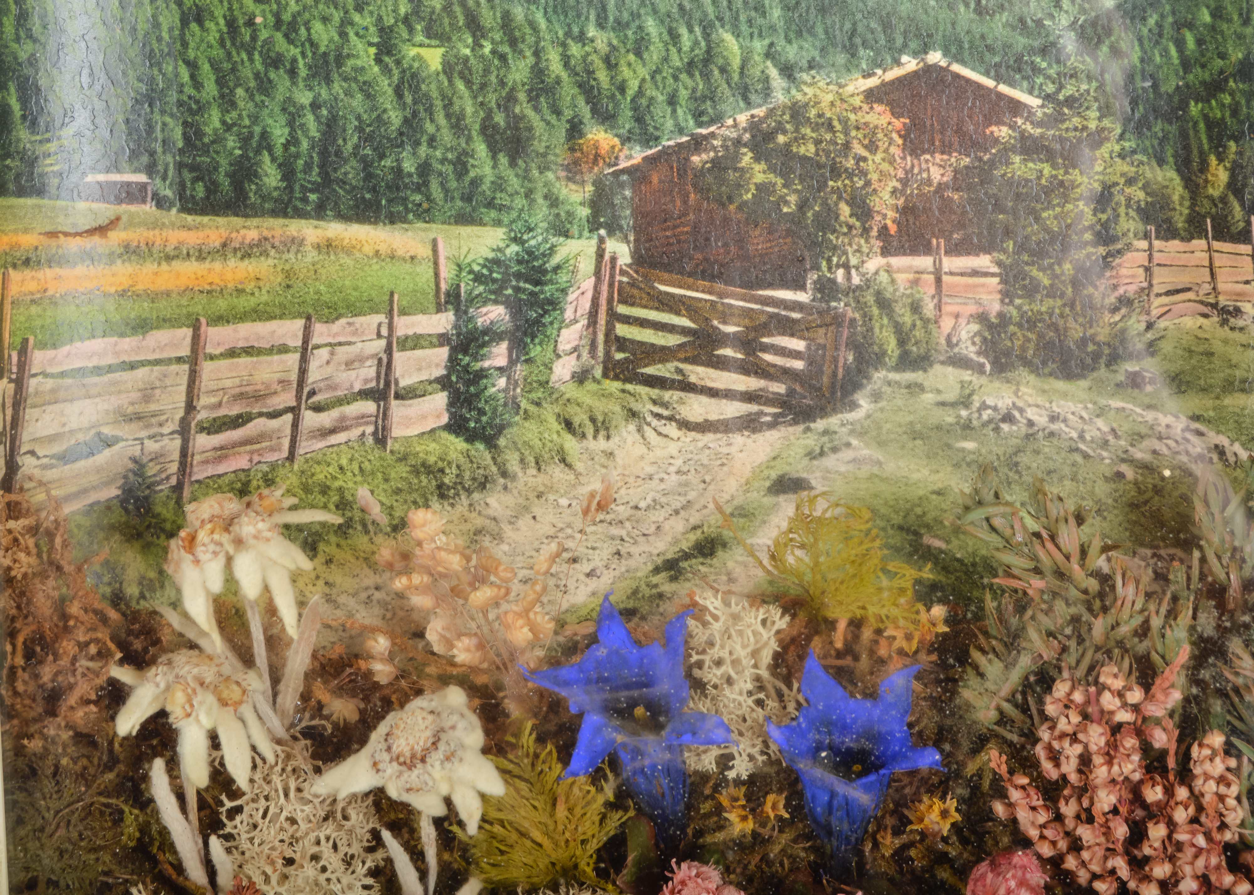 Collection of Retro Nature-Themed Accents