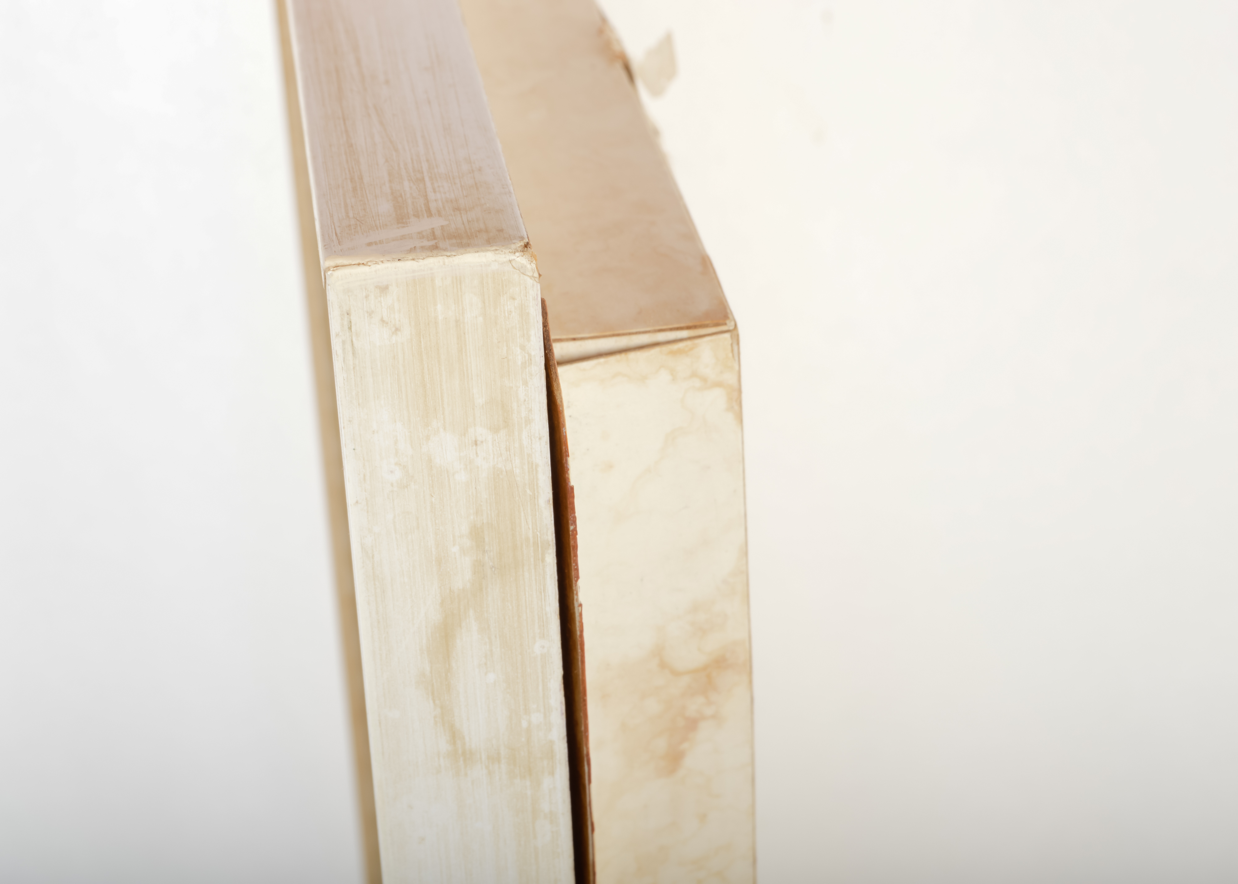 Collection of Retro Nature-Themed Accents