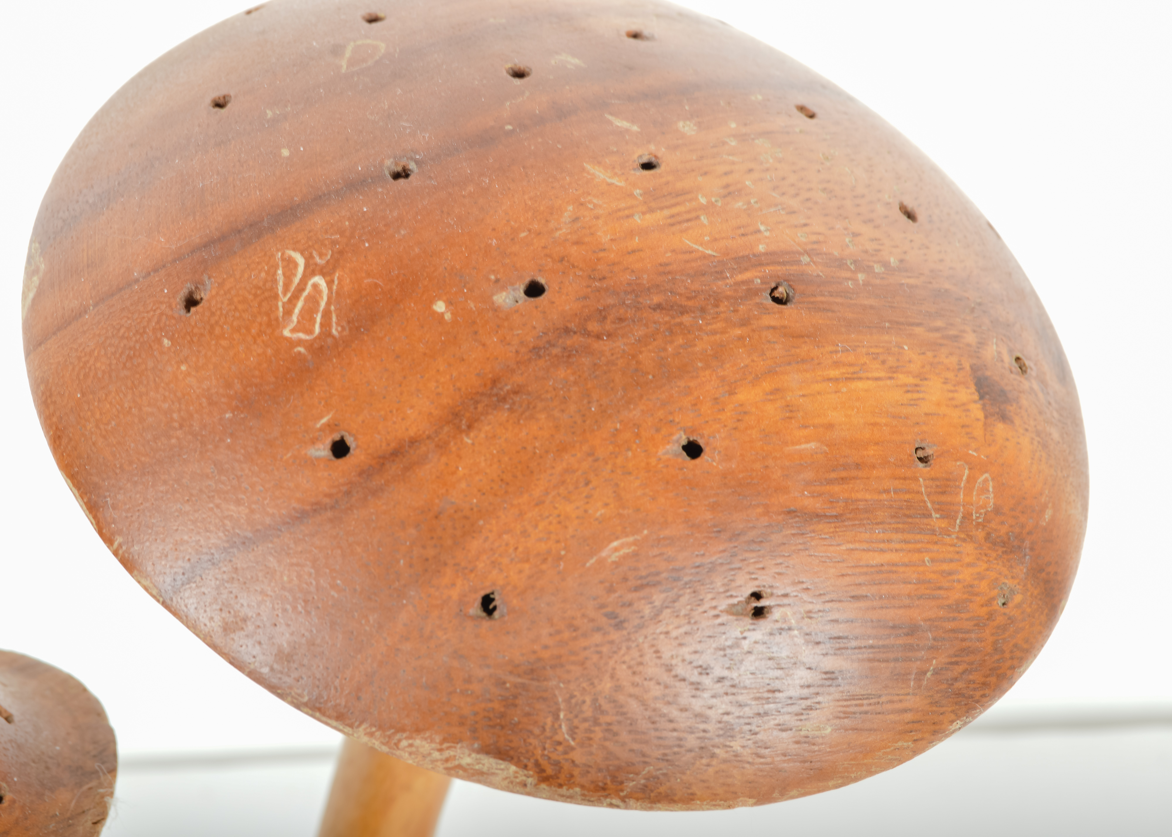 Collection of Retro Nature-Themed Accents