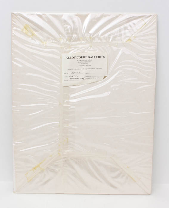 Pair of Antique Engravings of Plants