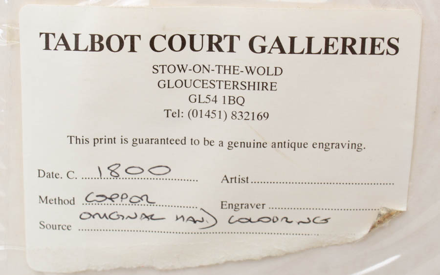 Pair of Antique Engravings of Plants