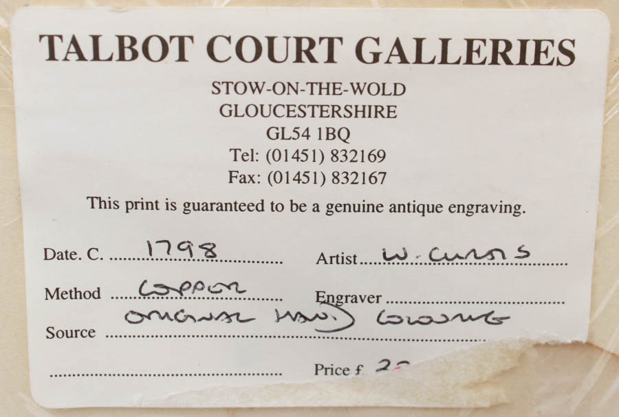 Pair of Antique Engravings of Plants