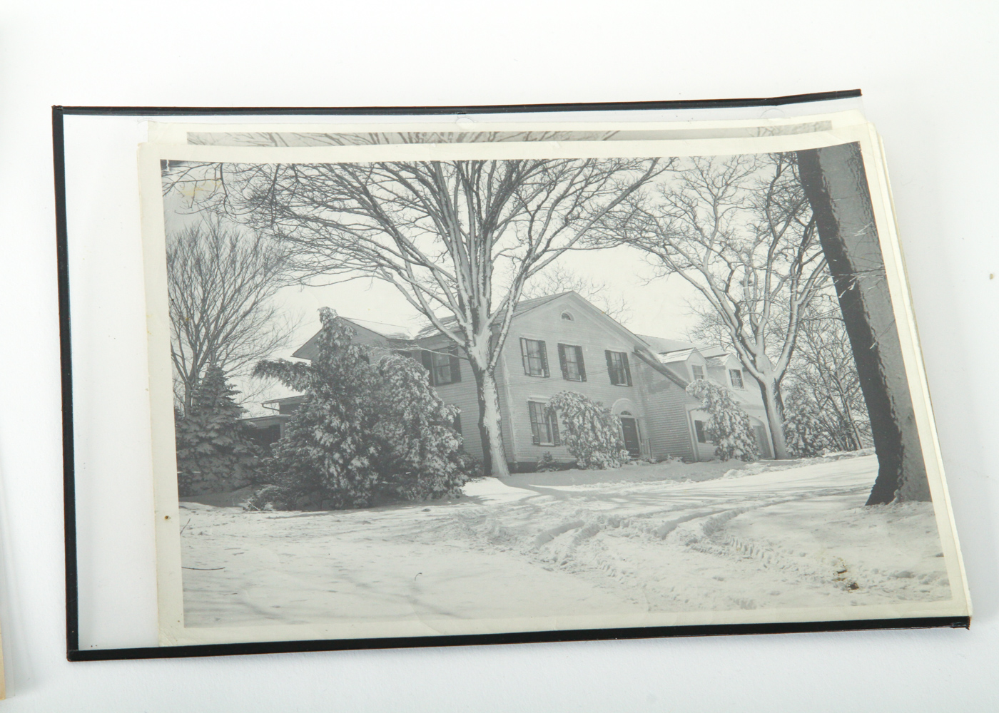 Large Collection of Vintage Photographs