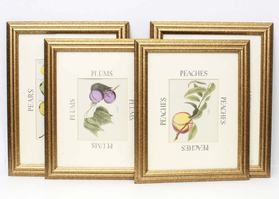 Quartet of Fruit Prints