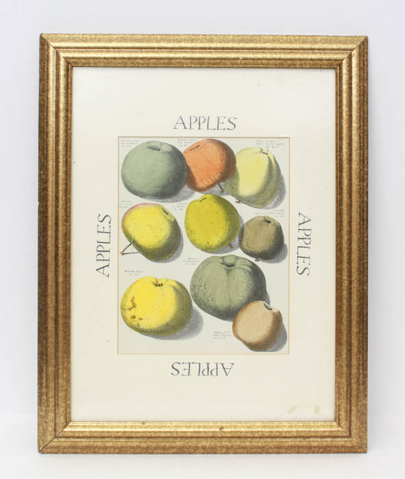 Quartet of Fruit Prints