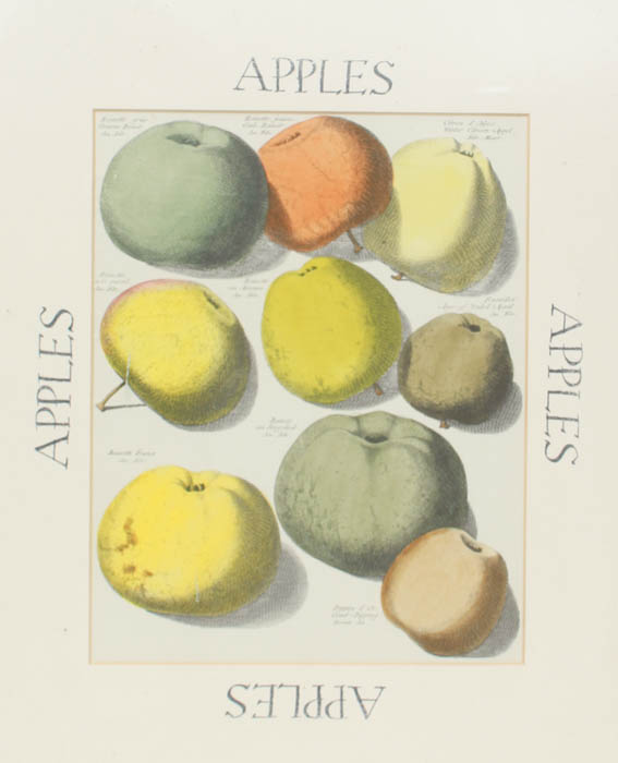 Quartet of Fruit Prints