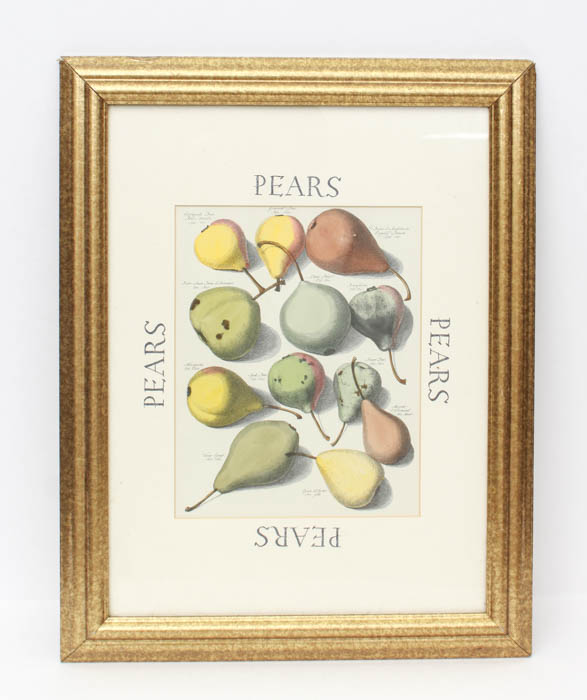 Quartet of Fruit Prints