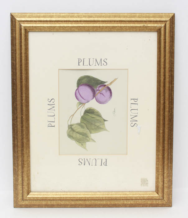 Quartet of Fruit Prints