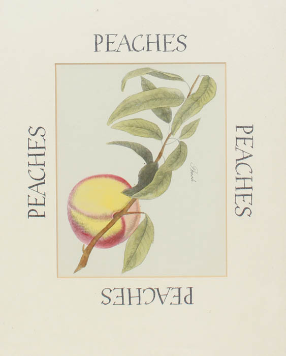 Quartet of Fruit Prints