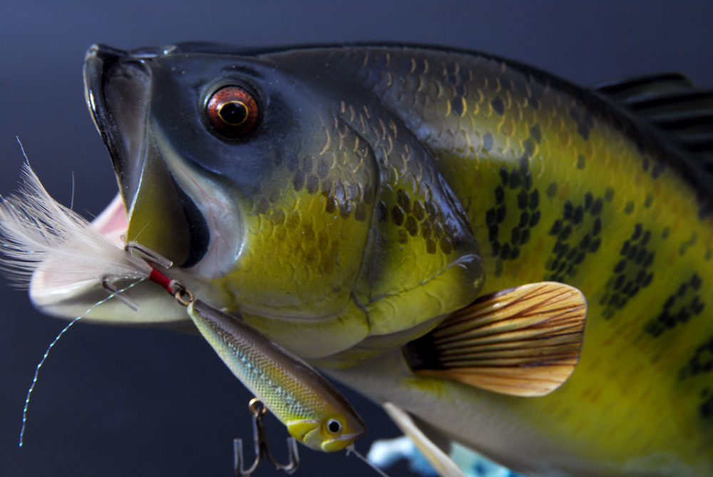 Trio of George Kruth Danbury Mint Bass Sculptures