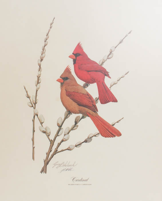 Signed Guy Coheleach "Cardinal" Print