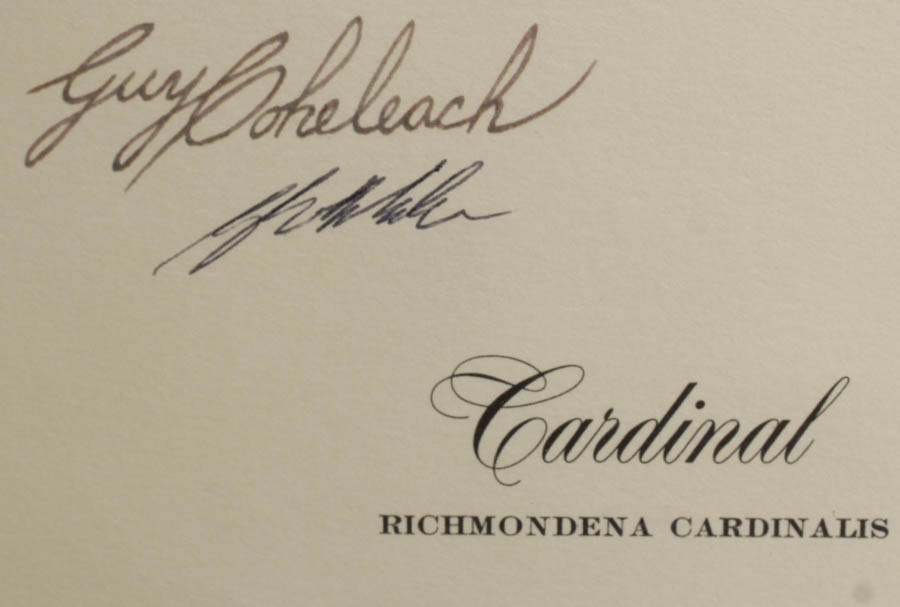 Signed Guy Coheleach "Cardinal" Print