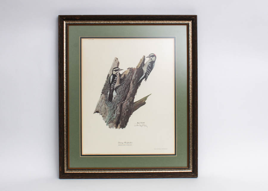 Signed Ray Harm "Downy Woodpecker" Print