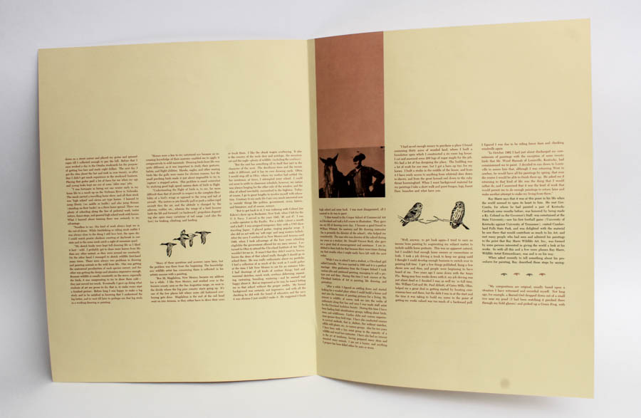 Signed Ray Harm "Downy Woodpecker" Print