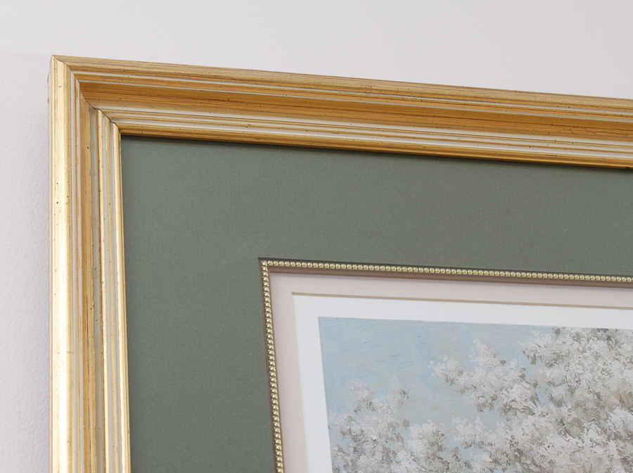 Framed Print by Thomas Ho