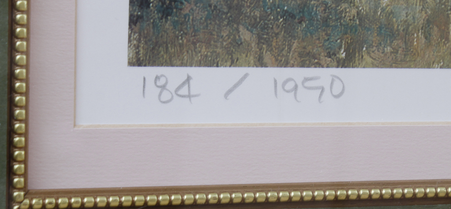 Framed Print by Thomas Ho