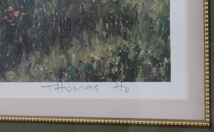 Framed Print by Thomas Ho